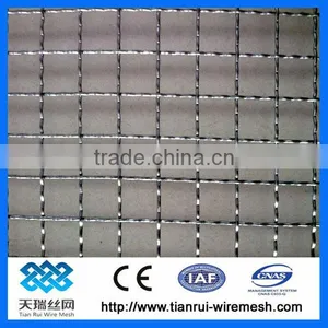 Stainless Steel Double Crimped Wire Mesh thumbnail-1
