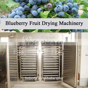 Blueberry Fruit Drying Machinery thumbnail-1
