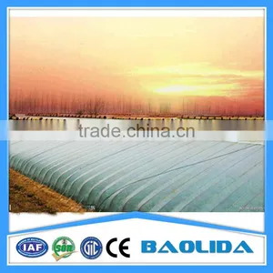 15 Years Warranty 100% Single Span Tunnel Greenhouse thumbnail-6