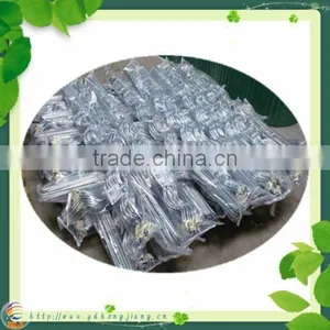 Tomato Plant Spiral Support Stakes thumbnail-2