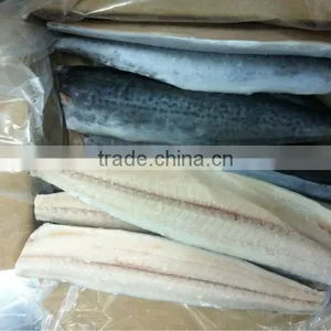 Frozen Spanish Mackerels Fillet thumbnail-1