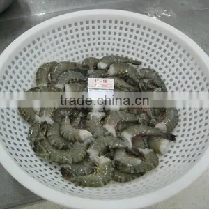 Shrimps thumbnail-1