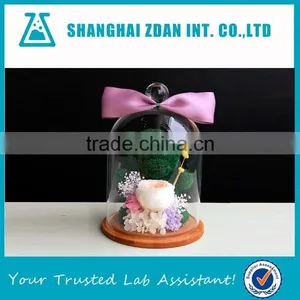 Glass Shade Preserved Flower Cover thumbnail-1