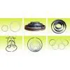 China (Mainland) Piston Ring thumbnail-1