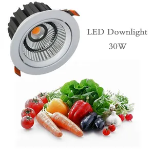 LED Fresh Downlight for Meat Vegetable Food Display Lighting thumbnail-1