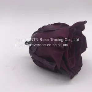 Preserved Rose Gift Arrangement Preserved Flowers thumbnail-3