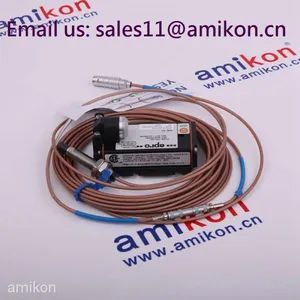 EMERSON ER22020/T | DC Converter Module thumbnail-1