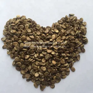 Chinese Crimson Sweet Hybrid Watermelon Seed thumbnail-5