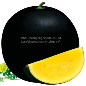 SHUANGXING f1 Hybrid Yellow Flesh Seedless Watermelon Seeds thumbnail-1