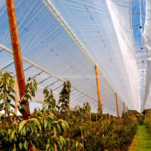 100% Virgin Material and Mould Plastic Anti Hail Net thumbnail-2