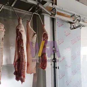 Small Scale Pig Abattoir Machine for Hog Goat Slaughterhouse of Meat Processing Line thumbnail-4