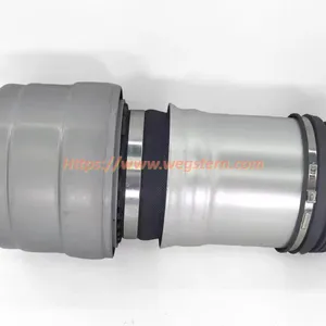 2533200338 Hot Selling Nice Quality Front Air Spring for Mercedes Benz W253 GLC Class Front LH & RH 2015-- thumbnail-1