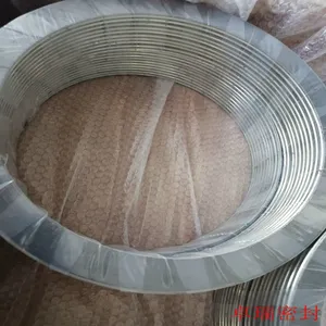Spiral Wound Gasket With Outer Ring 304ss thumbnail-4