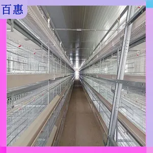 Fully Automatic Meat Chicken Cage thumbnail-4