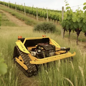 Euro5 EPA Remote Control Slope Mower 800mm Brush Cutter Crawler Type Grass Cutting Machine for Steep Slope Shrub thumbnail-1