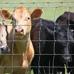 Farm Animal Used Livestock Fence Cattle Horse Sheep Panels and Corral Gate Sheep Barn Fence thumbnail-1