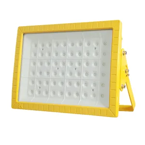 Explosion Proof LED Flood Light IP66 Ex db IIC T6 Outdoor Flameproof Industrial Lighting Lamp thumbnail-2