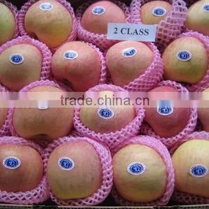 Red Fuji Apple Exporter thumbnail-1