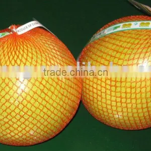 Color Pomelo (shaddock) thumbnail-2