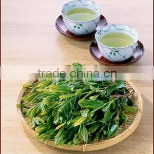 OOLONG TEA thumbnail-1