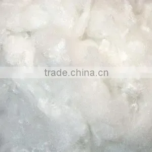 Polyester Staple Fiber thumbnail-1