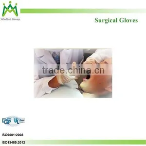 Powder Free Latex Surgical Gloves thumbnail-1