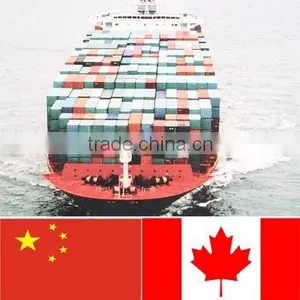 International Ocean Freight Ningbo to Toronto/canada thumbnail-2