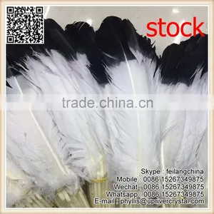 Samba Party Dress Up Large 25-30cm Stock Turkey Feather thumbnail-1