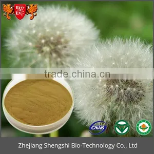 High Quality Artificial Dandelion Flower Extract, Dandelion Extract Powder, Dried Dandelion Powder thumbnail-2