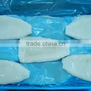 Frozen Squid Tube thumbnail-1
