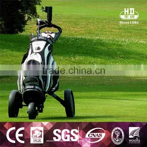 China Suppliers Newest Design Top Quality PE Artificial Turf Grass For Golf thumbnail-3