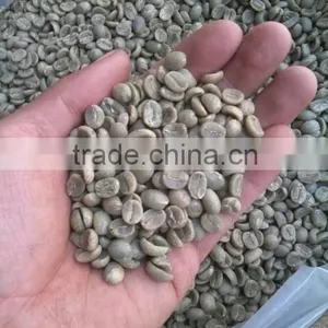 Robusta Coffee Grade 1 Screen 18 thumbnail-3