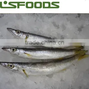 2014 Frozen Pacific Saury thumbnail-1