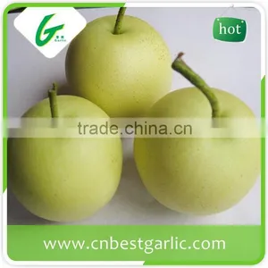 9kg 18kg Bulk Fresh Crown Pear thumbnail-1