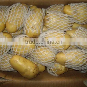 Fresh Round Potato(new Crop) thumbnail-1
