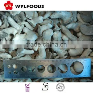New Crop Frozen Baby Oyster Mushroom 2015 Good Quality Best Prices From China thumbnail-1