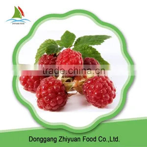 High Quality Iqf Fruits and Frozen Raspberry Crumble thumbnail-1