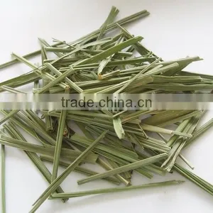 Lemon Grass thumbnail-1