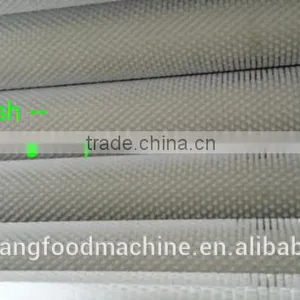 Ginger / Potato / Taro / Sweet Potato / Carrot Peeling & Washing Machine Turnip Polishing Equipment thumbnail-6