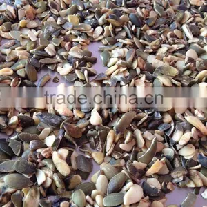 Broken Pumpkin Seeds Price GWS Oil Grade thumbnail-3