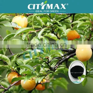 Organic Fertilizer Humic Acid Granules thumbnail-1