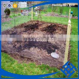 Useful Fish Trap Hexagonal Wire Mesh thumbnail-2