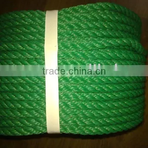 PP Cord thumbnail-1