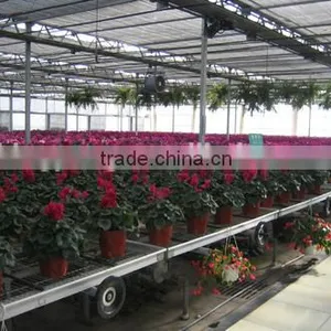 Optimise Conditions Greenhouse Rolling Benches thumbnail-1