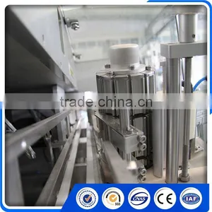 Full Automatic Wrap Around Case Packer Carton Packer thumbnail-6