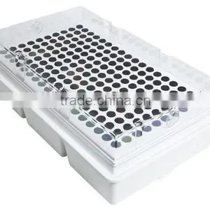 OEM Design Thermoformed Agricultural Plastic Pallets thumbnail-5