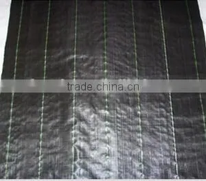 Spunbonded Polypropylene Nonwoven Fabric thumbnail-2