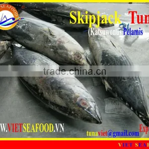 FROZEN W/R SKIPJACK TUNA thumbnail-1