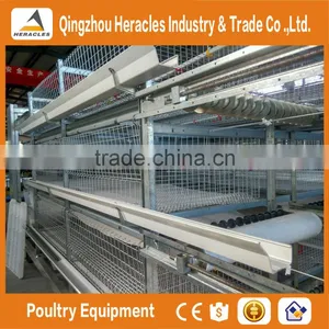 Shandong Trade Assurance Poultry Farming Equipment Automatic Chicken Layer Cage for Sale in Philippines thumbnail-4