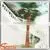 Artificial Palm Tree Fiberglass Material Outdoor/indoor Decoration Electric Palm Tree thumbnail-4